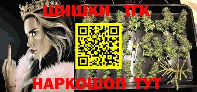 мдпв Обь