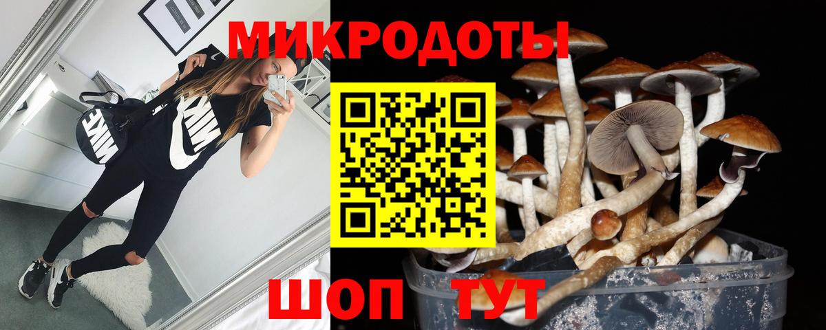 Галлюциногенные грибы прущие грибы Санкт-Петербург